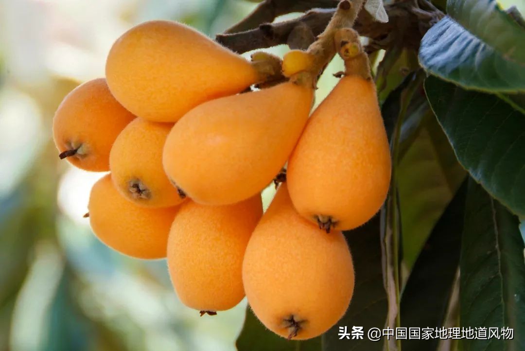 攀枝花不属于四川了吗,为什么说四川攀枝花是土豪城市