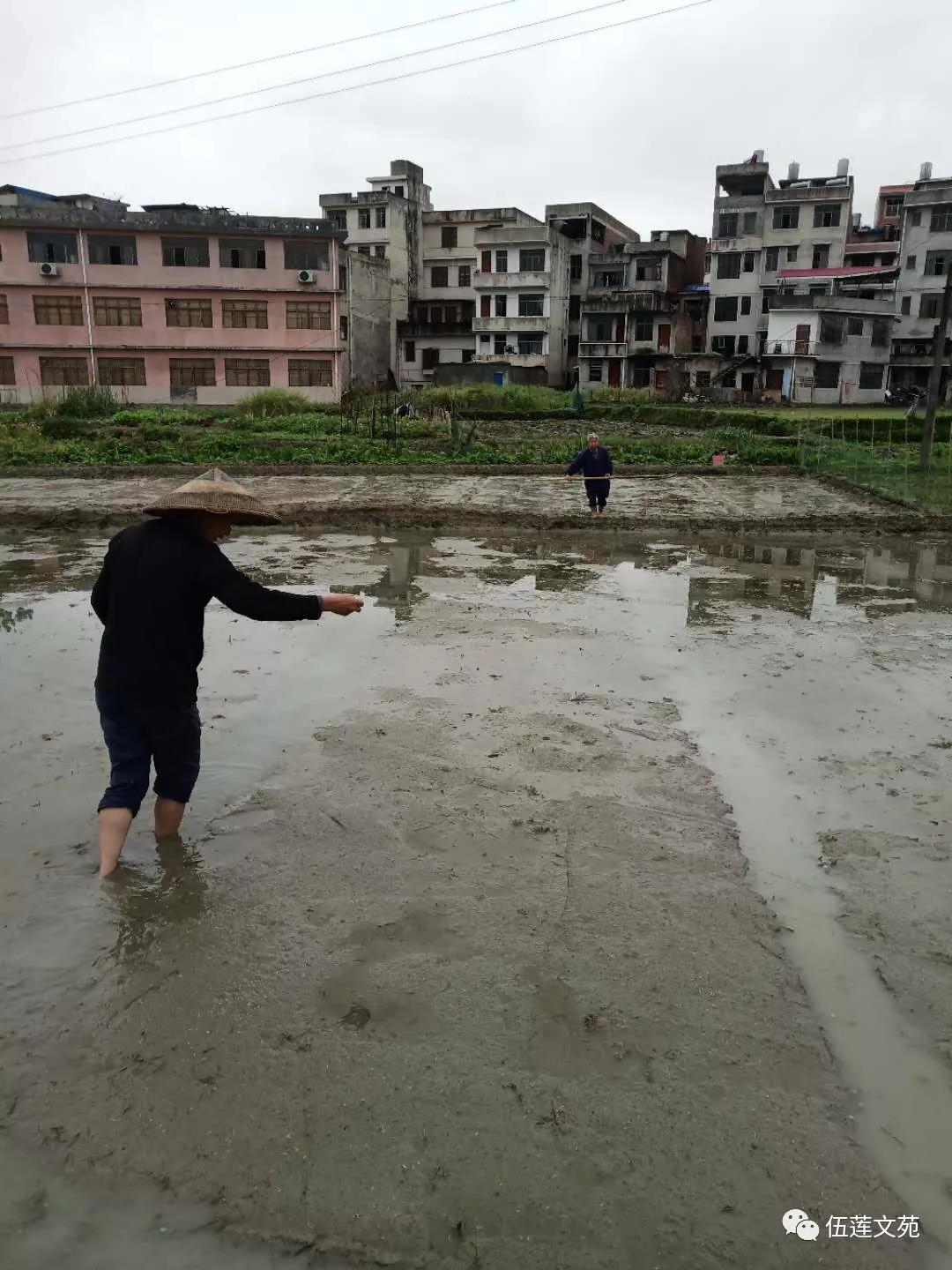 刘伟珍,刘伟珍平远