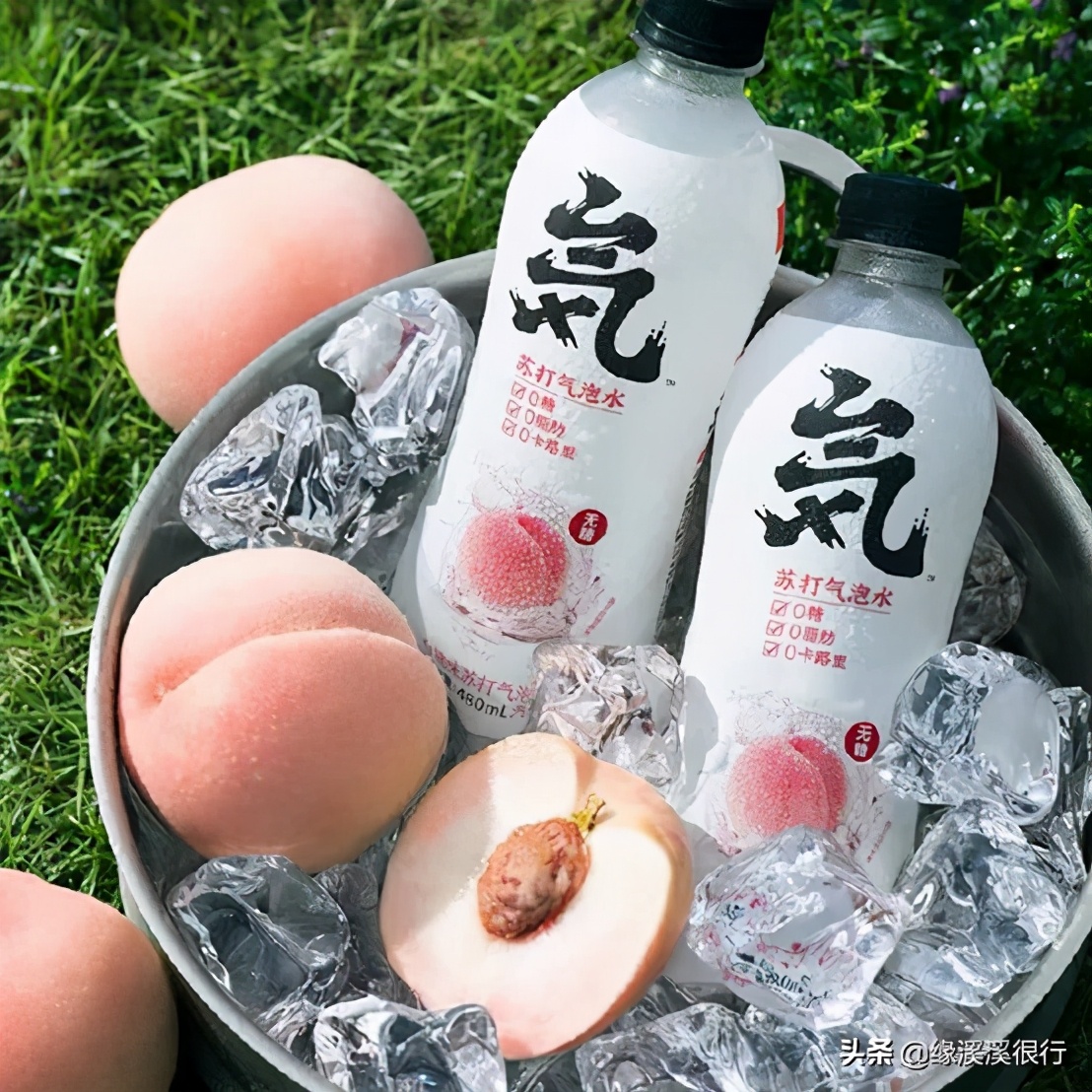 减肥期间可以喝元气森林气泡水,元气森林乳茶减脂吗