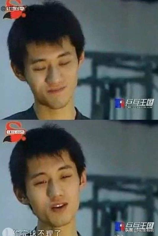 刘诗雯惨败日本无缘8强,17年刘诗雯朱雨玲争议球