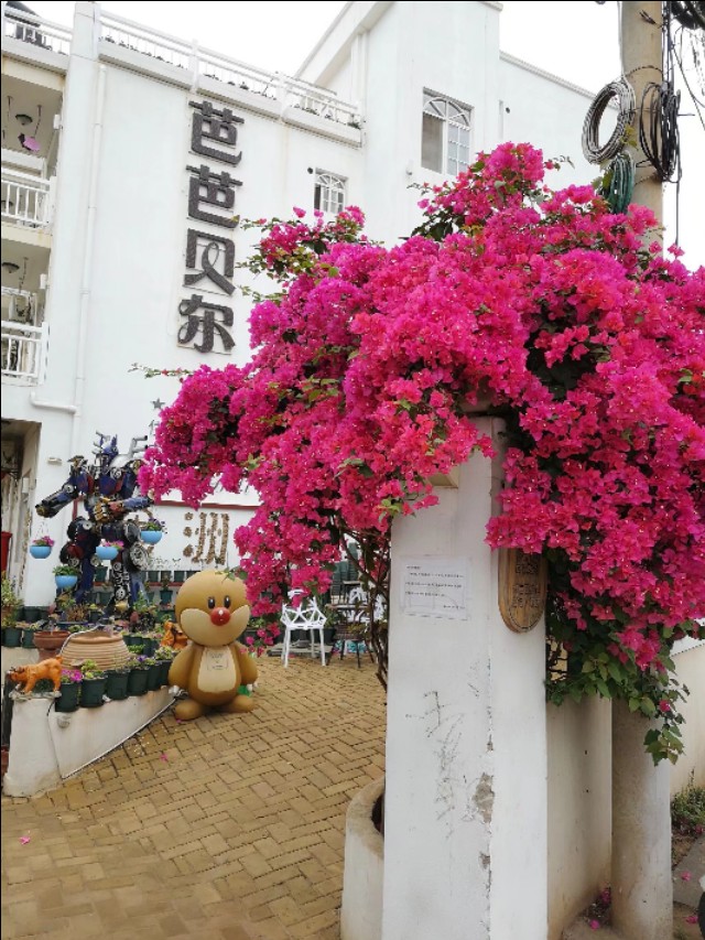 热带雨林中的蓬莱,热带岛屿游玩攻略