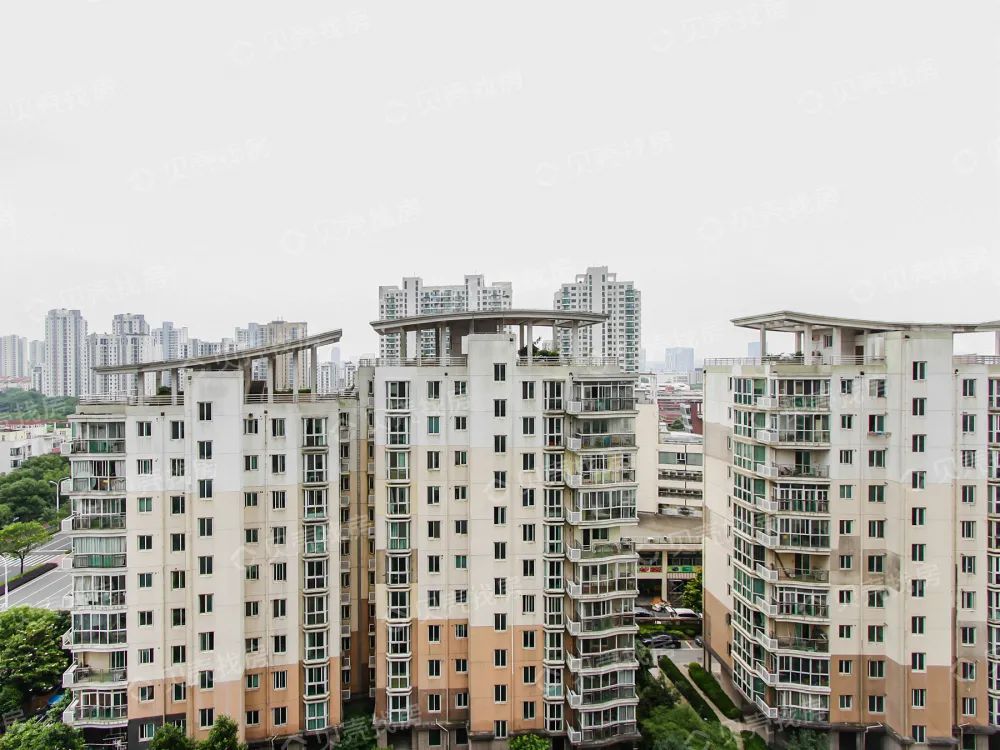 鐪熼瀹氬緥瑙ｈ,鐪熼瀹氬緥瑙ｆ瀽