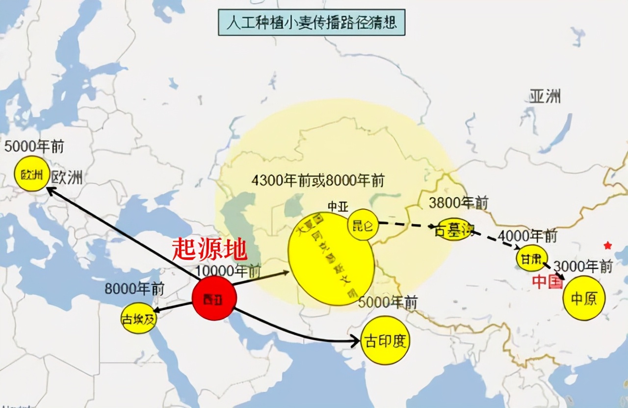 青海牛肉面和兰州牛肉面,兰州拉面和兰州牛肉面的恩怨
