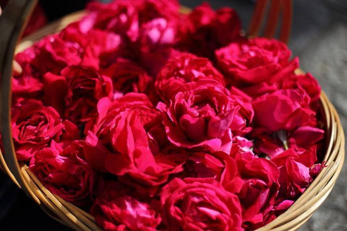 不用去云南也能吃到正宗鲜花饼了,没去过大理却吃到了大理鲜花饼