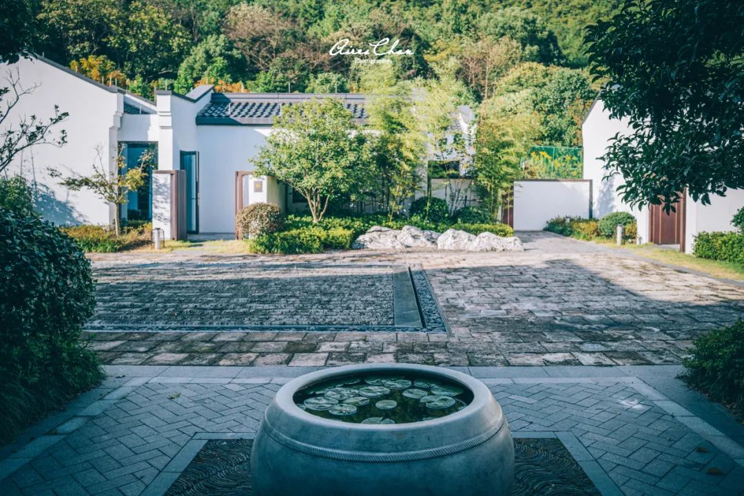 这是湖边度假酒店的性价比天花板!还有双11玩法剧透