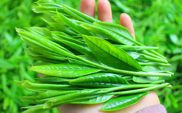 安徽马鞍山十大特产,安徽十大特产小吃排行榜