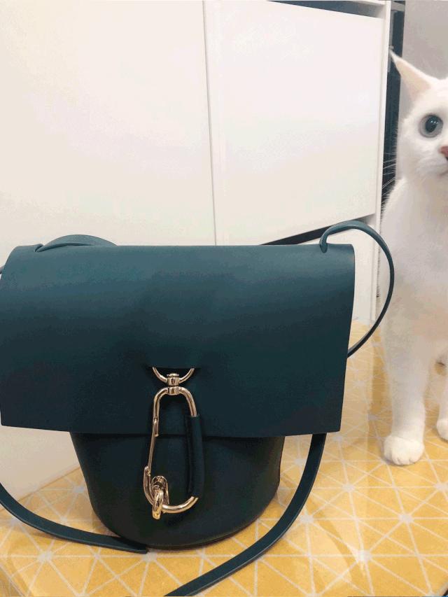 好看又大的宠物包,超好看的宠物包