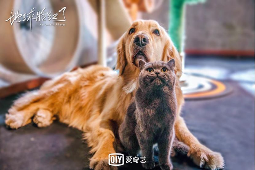 地球脸红了评价,地球脸红了翻唱