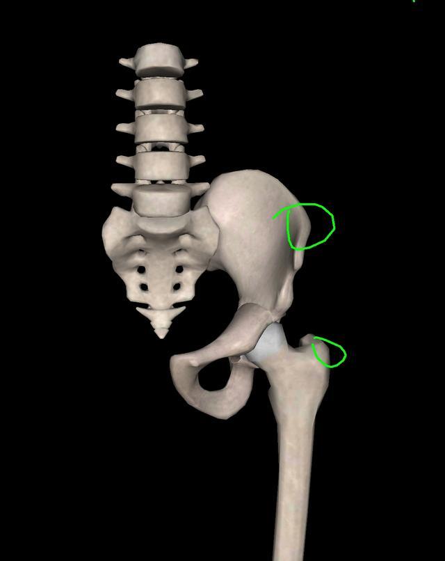 胯宽了但腿型还是歪的矫正方法,怎样改变假胯宽和大腿内侧的肉