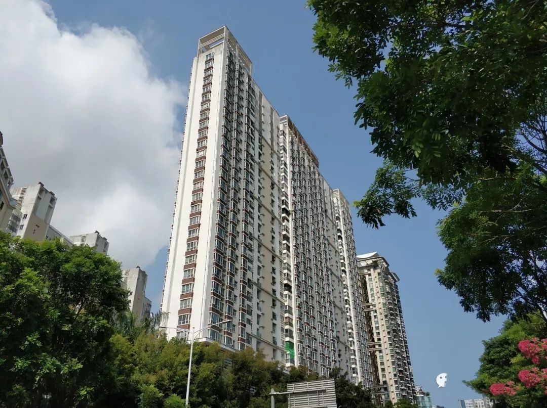 南山二外海德学校小学部排名,深圳南山二外海德学校曾致远