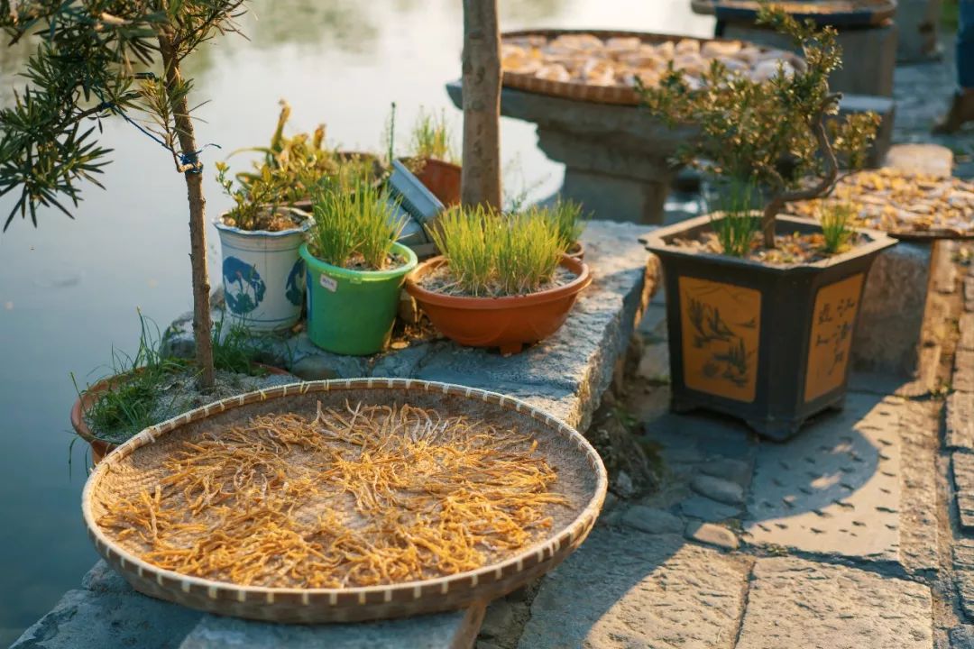 婺源油菜花一日游旅游攻略,婺源油菜花旅游攻略