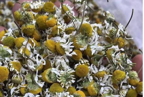 天热没空调婴儿怎么预防热痱子,宝宝热出痱子还不能吹空调吗