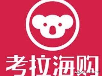 网易考拉入驻教程,怎么入驻考拉海淘