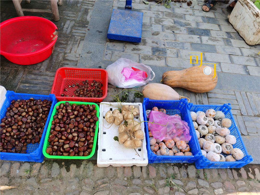 嵊州崇仁古镇夜宵,嵊州崇仁古镇一日游