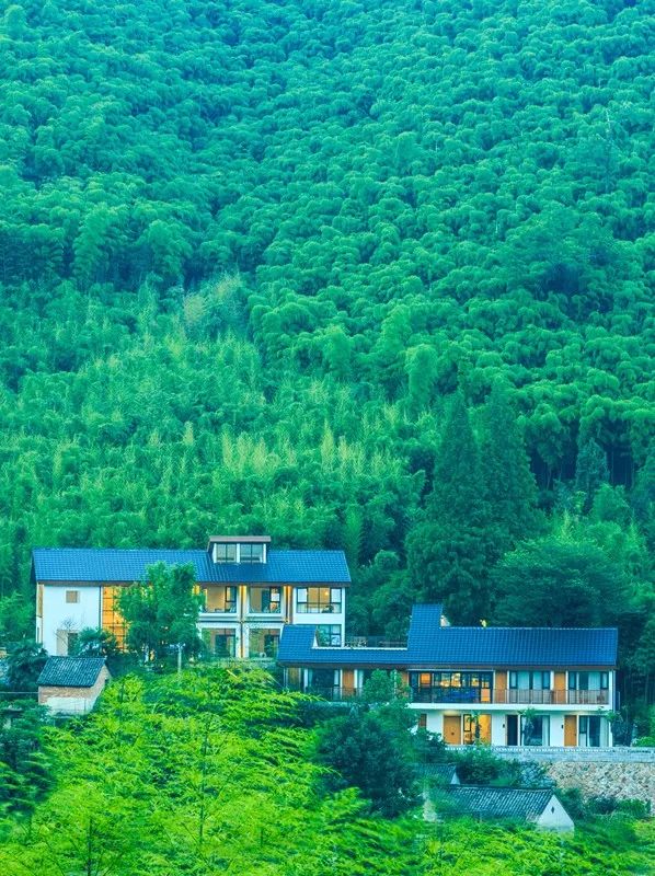 莫干山蕨宿温泉美宿抖音团购,莫干山最有设计感的民宿
