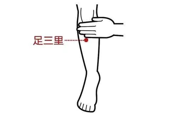 女性脾胃虚弱气血不足怎么调理,更年期女性气血不足怎么调理