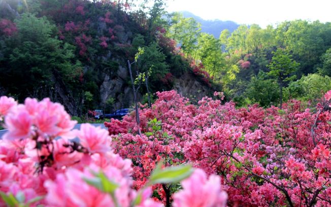 西泰山的特点是什么,西泰山为啥叫西泰山