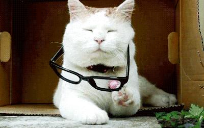 高度数眼镜戴低度数眼镜会怎样,低度数近视戴眼镜好还是不戴好