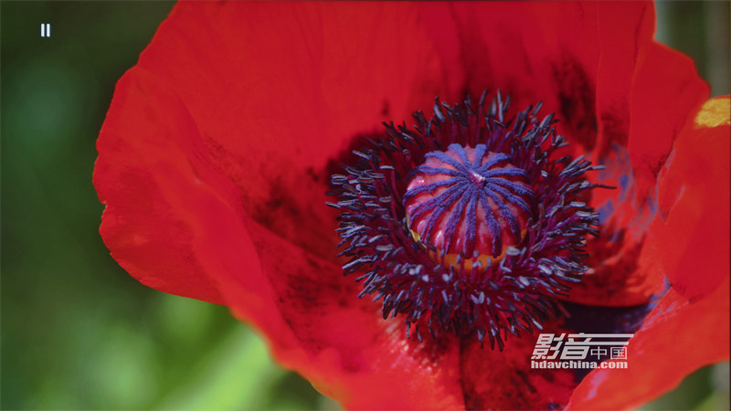 ViewSonic（优派）TX5000K：客厅百寸大屏市场的有力竞争者，拥有抢眼色彩的LED超短焦投影新贵