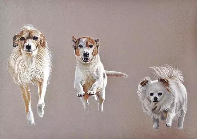 彩铅不会涂色怎么办,彩铅绘画干货