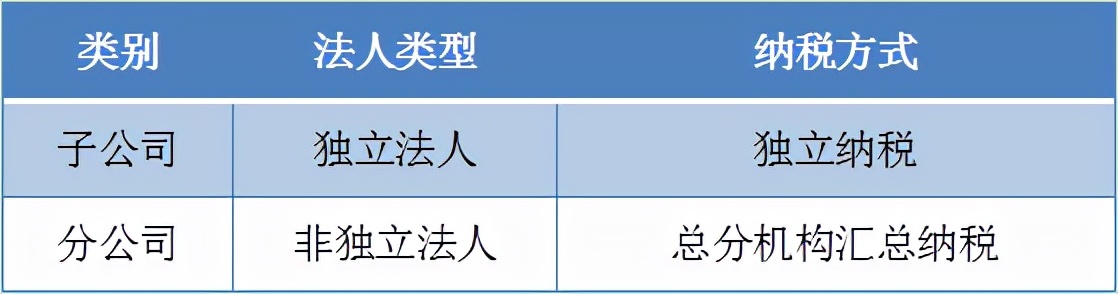 分公司和子公司盈利哪个好,子公司分公司傻傻分不清楚