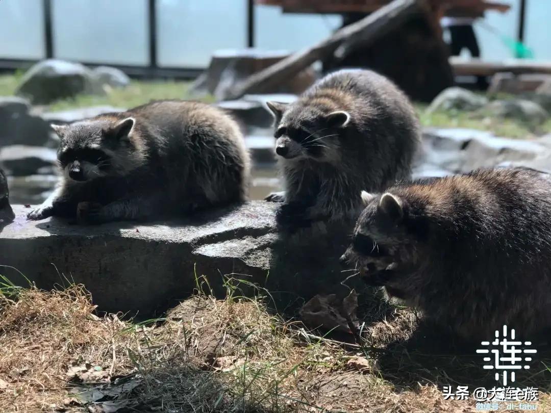 大连中秋节适合去哪里玩,中秋节大连游玩攻略