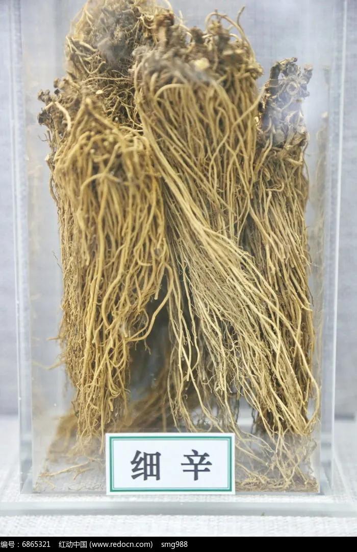 过敏性鼻炎效果最快的药,过敏性鼻炎用药效果一览表