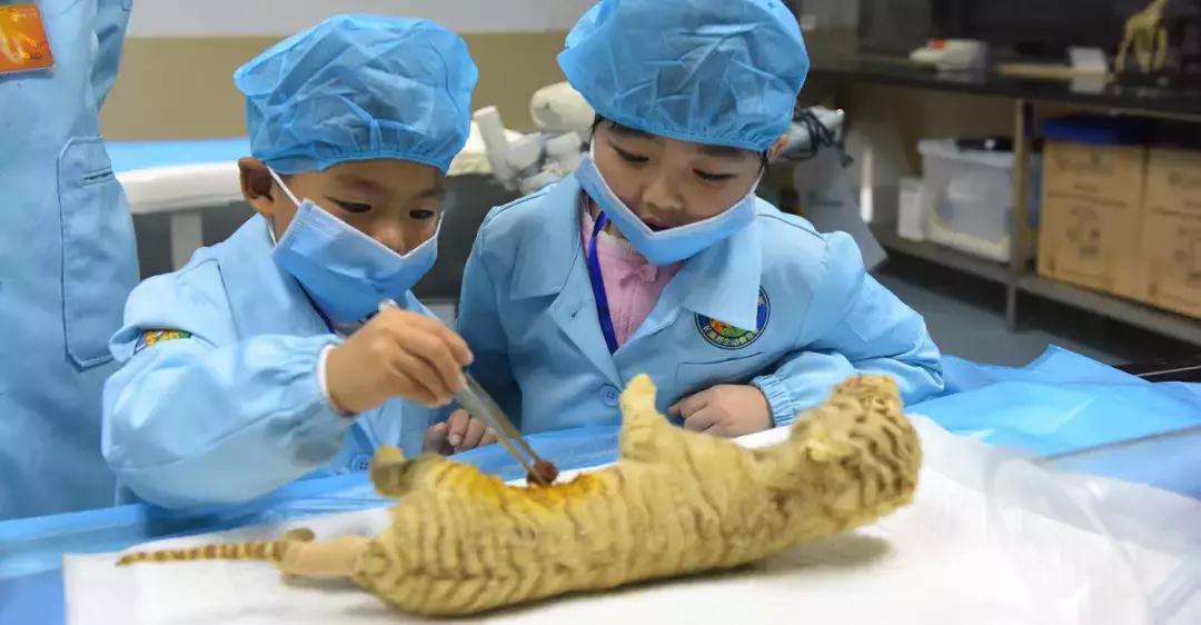 带小婴儿长隆动物园游玩攻略,亲子游玩广州熊猫酒店长隆攻略