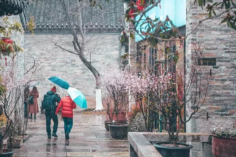 徐州市中心处竟隐藏着一片梅花林，时尚又古香的街区被映成粉色