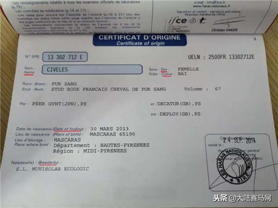 赛马课程,赛马课堂教学