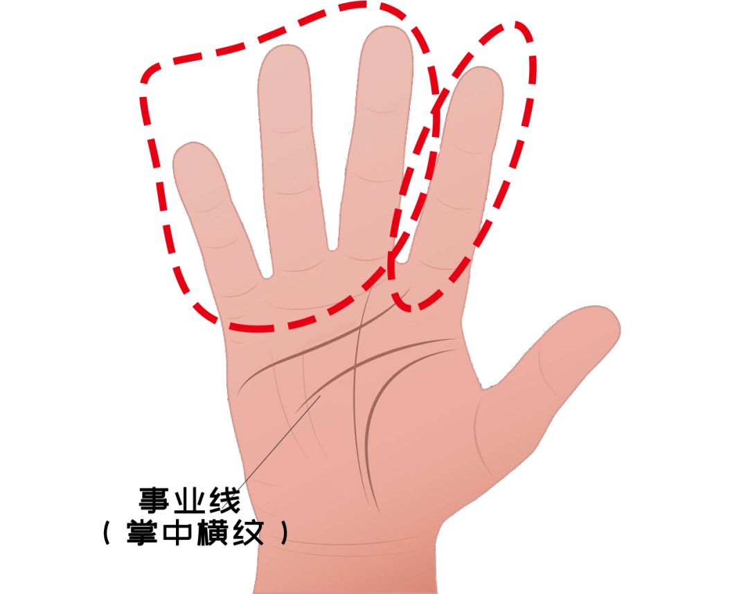 从医学角度，解读手相的秘密