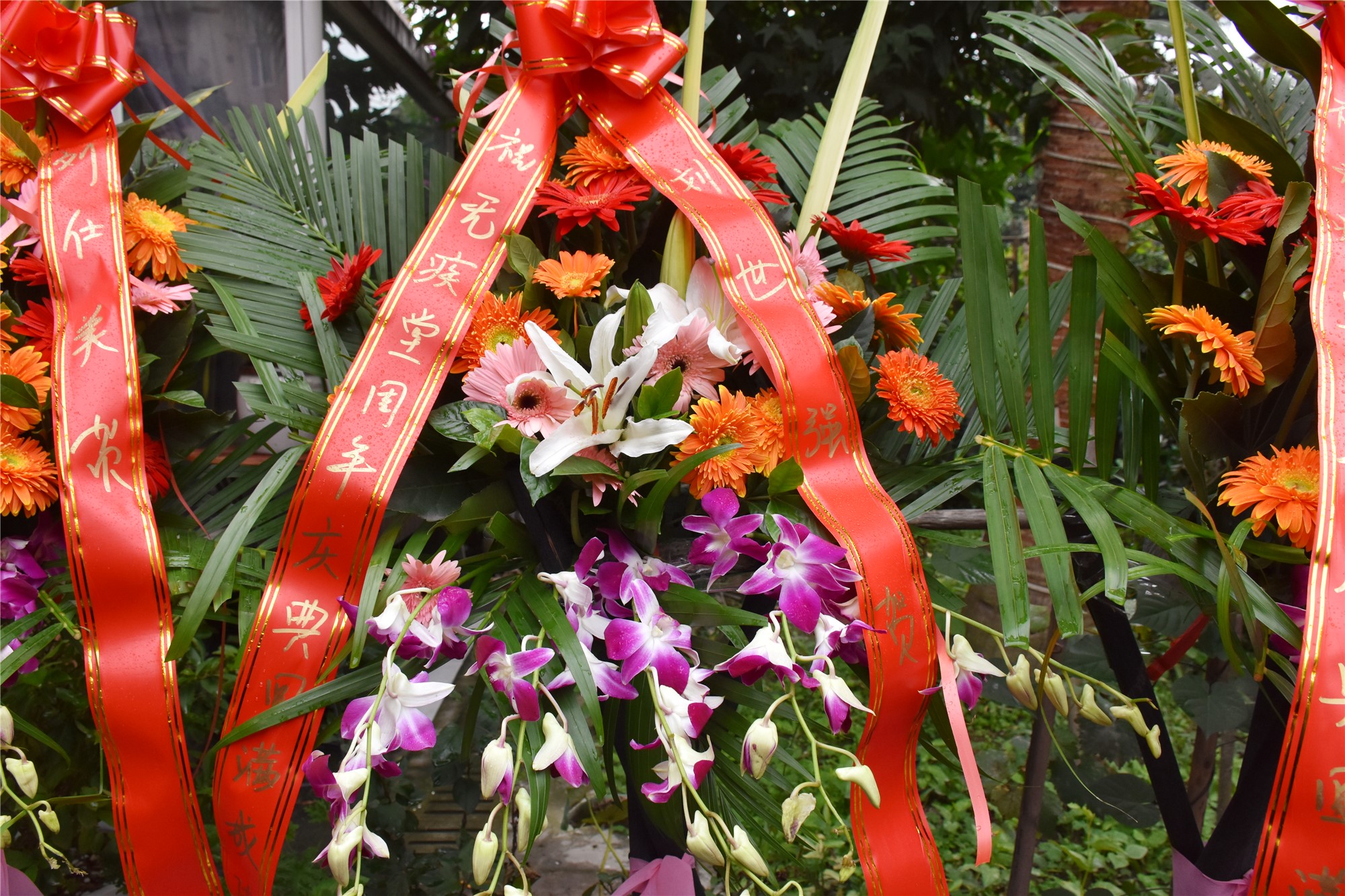 成都“无疾堂”养生馆举行周年庆活动