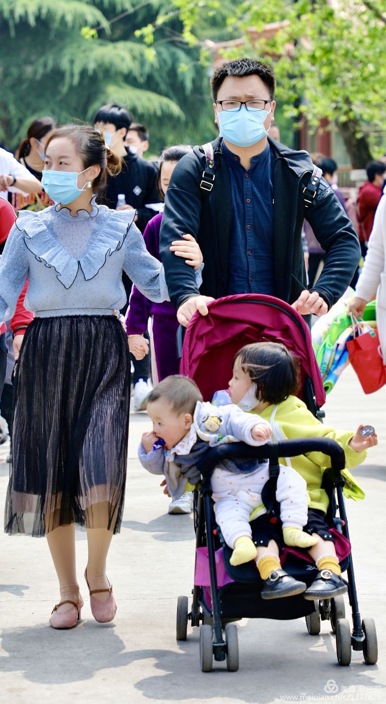 看洛阳牡丹花卉节,洛阳古都牡丹花展