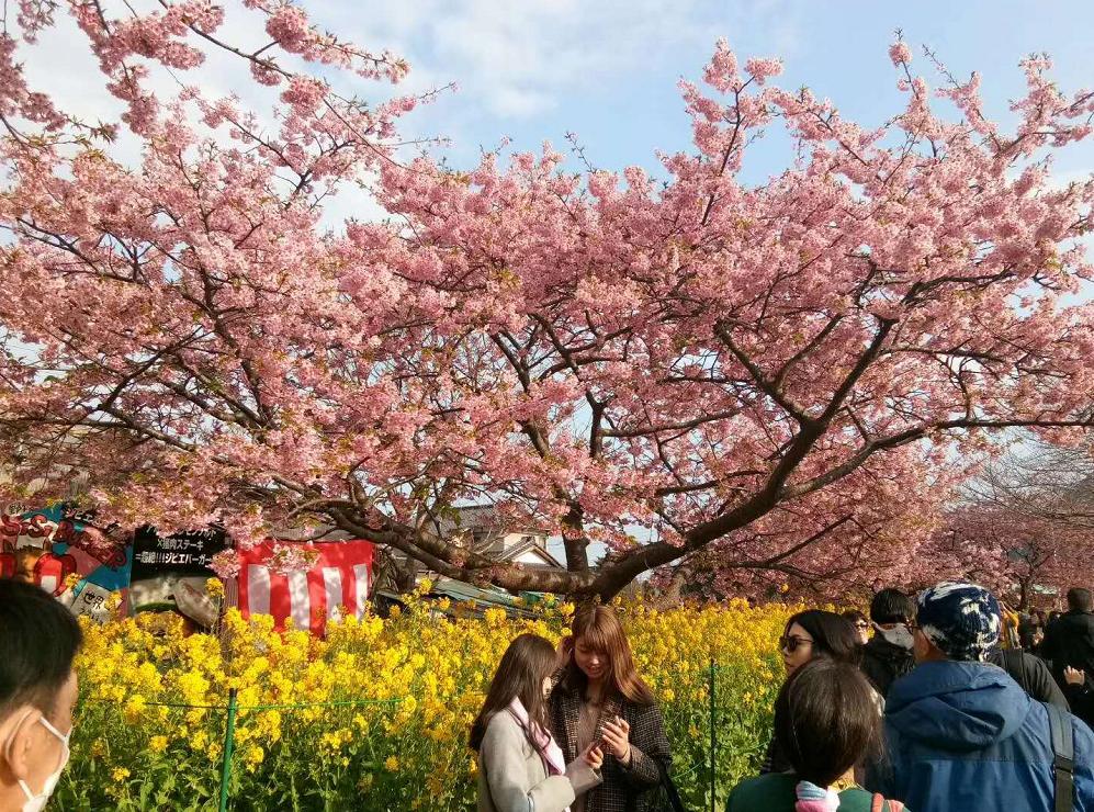 诗词刘柏荣,刘柏荣的诗词