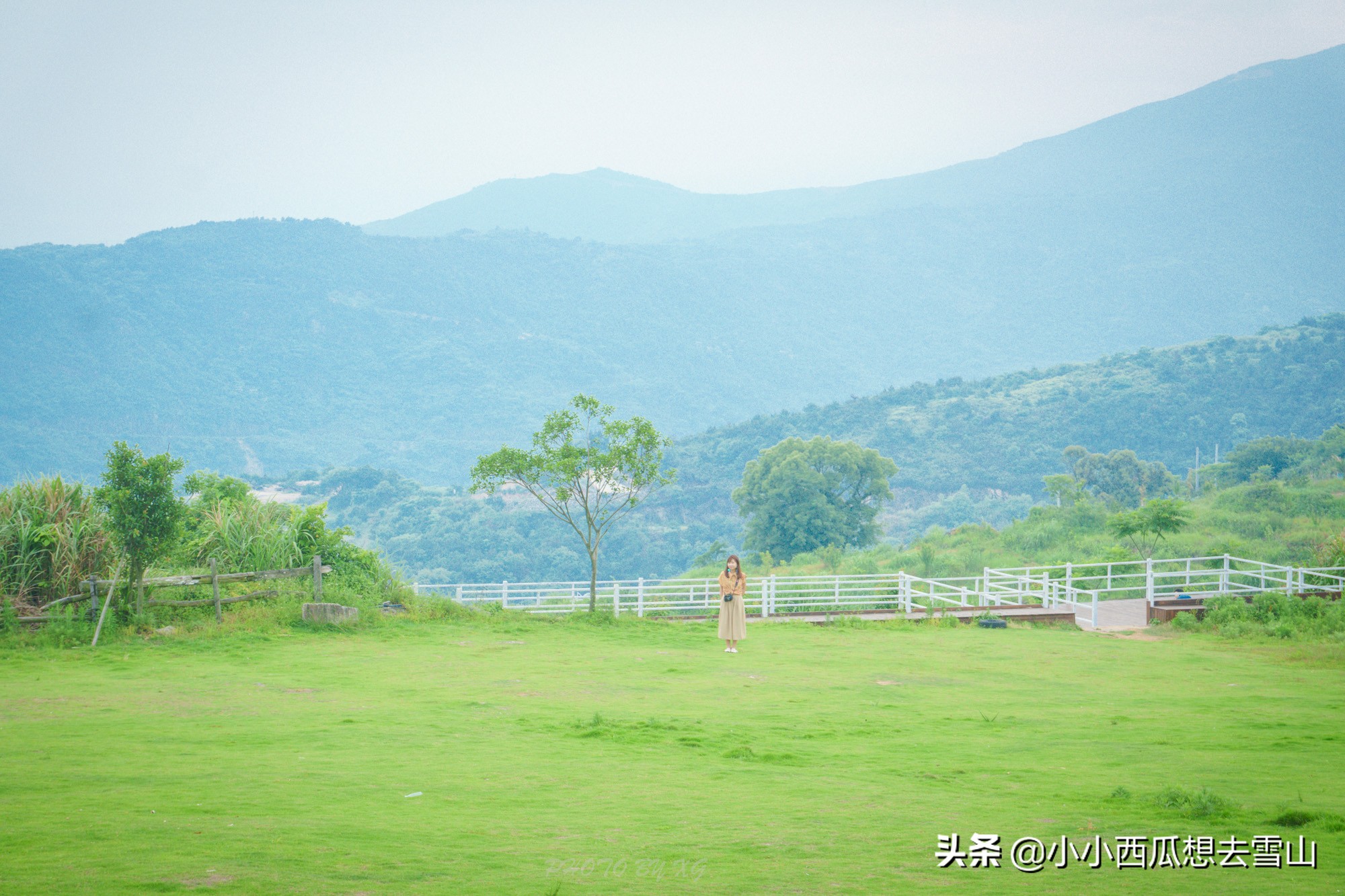 浙江苍南最美的海湾,有如夏威夷一样曼妙的黄金海岸线,极为小众