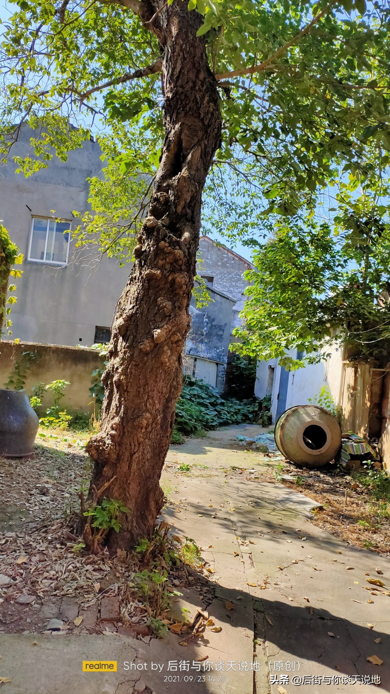 没被过度开发的江南古镇,一座被历史遗忘的江南古镇