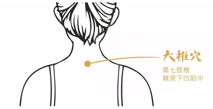 身上带的最强健脾穴位,冬病夏治敷贴穴位示意图