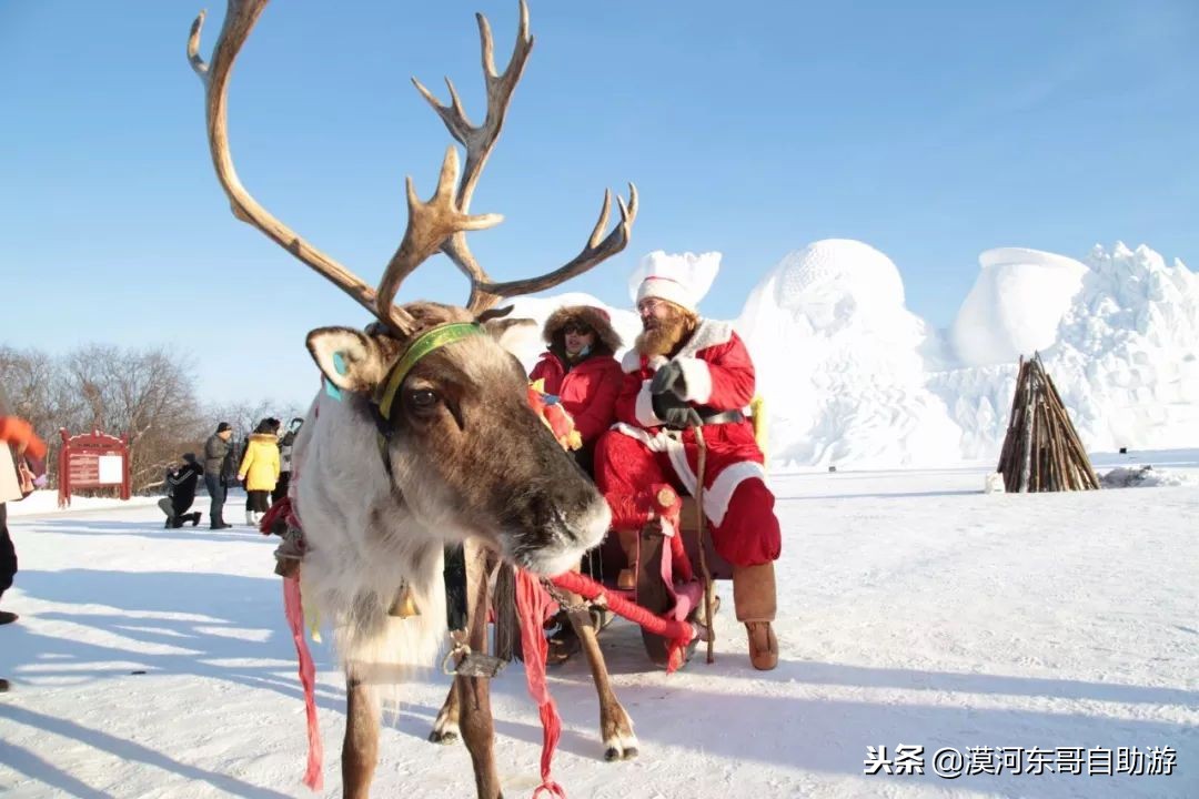 漠河旅游团暑假,漠河雪乡旅游小团