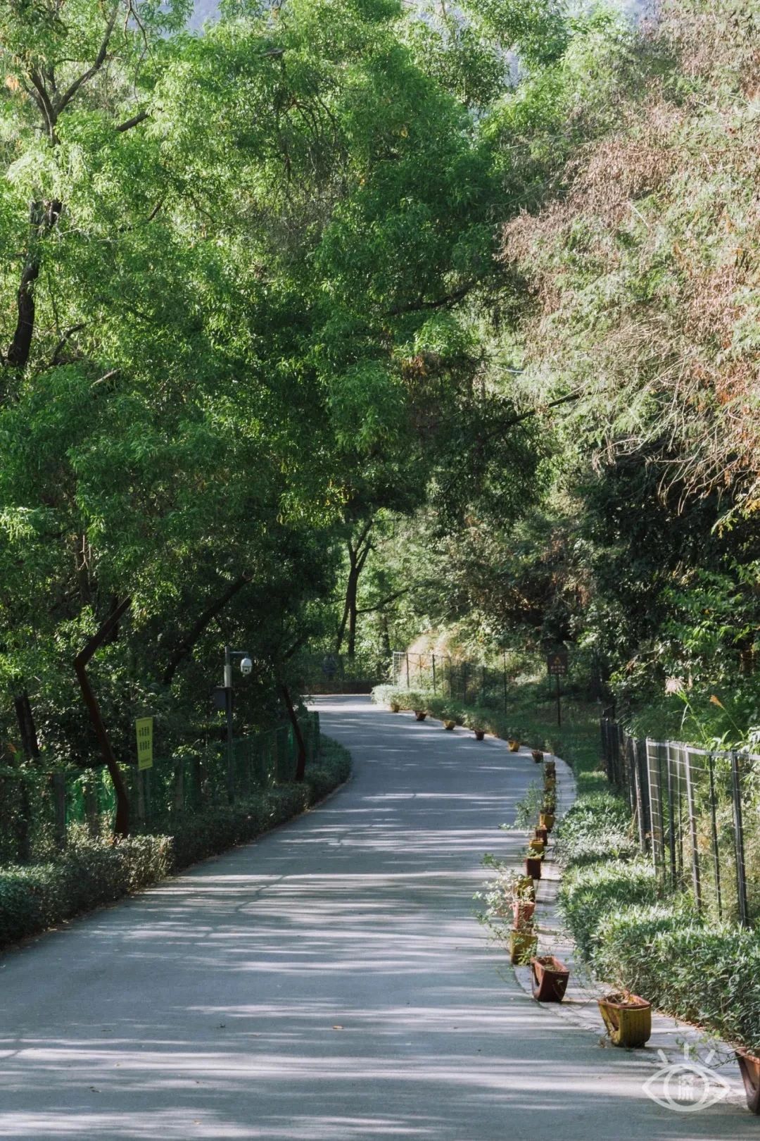 深圳周末浪漫好去处,深圳浪漫约会地点十个景点