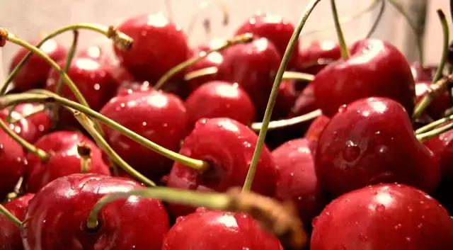 重庆周边摘樱桃,重庆北碚摘樱桃的地方