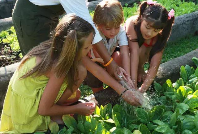 苏梅岛最值得的酒店,苏梅岛顶级酒店