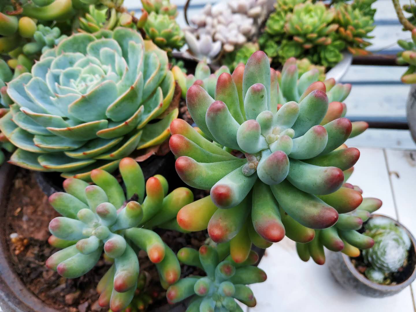 云南旅游走遍云南景点,走进云南大理图片