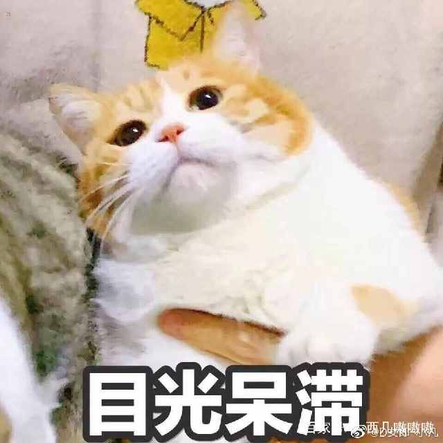 我咋办啊表情包,表情包我能怎么办