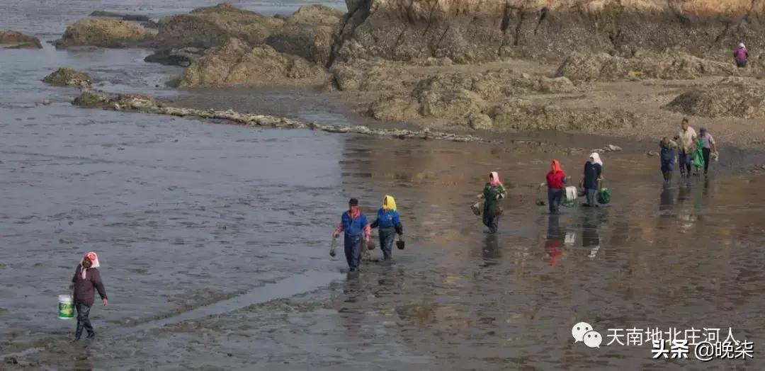 大连庄河赶海排名第一名,庄河赶海网红视频
