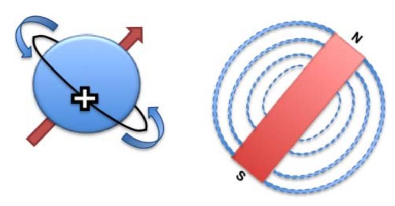 磁共振怎么看大脑基底节区和丘脑,脑核磁能不能看清楚骨头