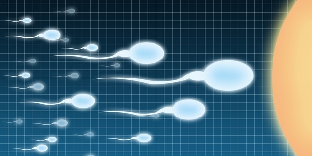 农科院GUT报道：褐藻寡糖或改善菌群，提高精子质量