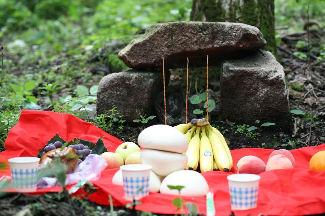 野山参文化传承,野山参历史文化