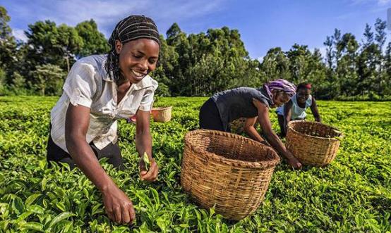 天空的另一半深度解读,天空的另一半女性视角分析
