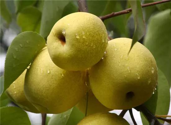 在泰国100块能买什么,泰国钱币100能换多少人民币