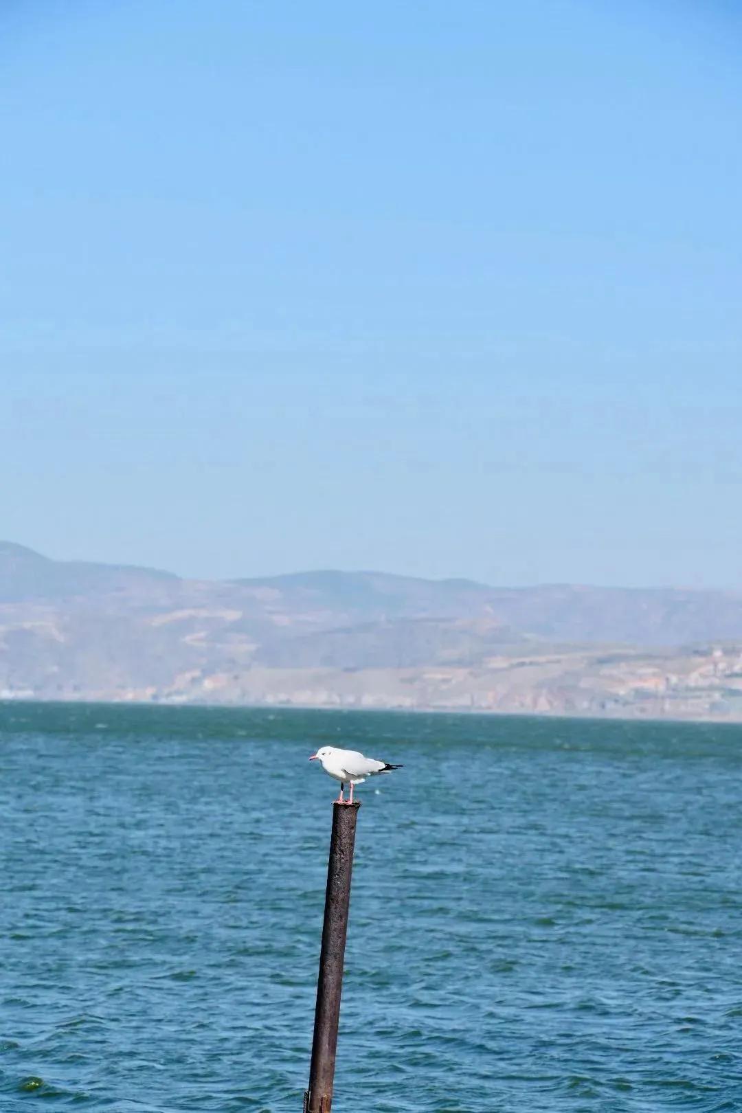 每周摄影作品全集,摄影作品展活动4k视频